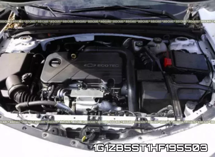 1G1ZB5ST1HF195503 фото 2