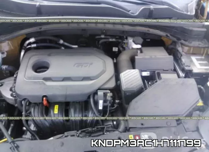 KNDPM3AC1H7111799 фото 2