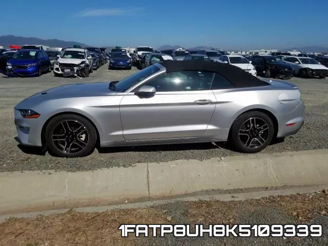 1FATP8UH8K5109339 фото 10