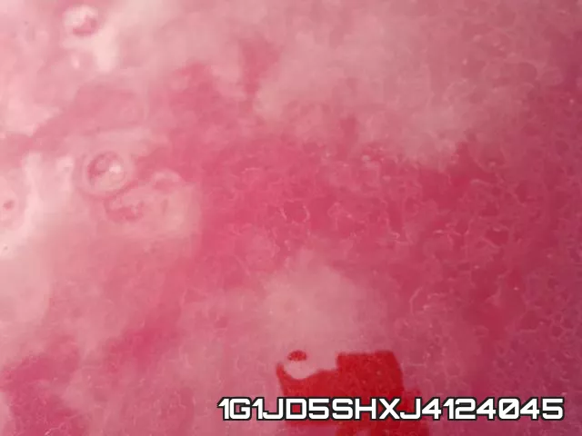 1G1JD5SHXJ4124045 фото 10