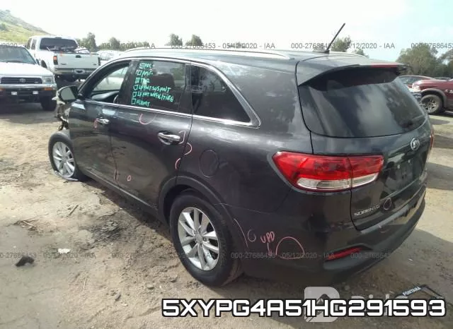 5XYPG4A51HG291593 фото 4