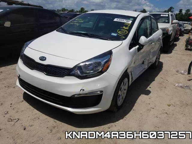 KNADM4A36H6037257 фото 3