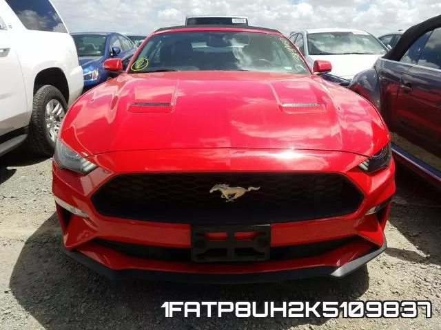 1FATP8UH2K5109837 фото 10