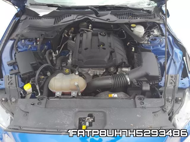 1FATP8UH7H5293486 фото 8