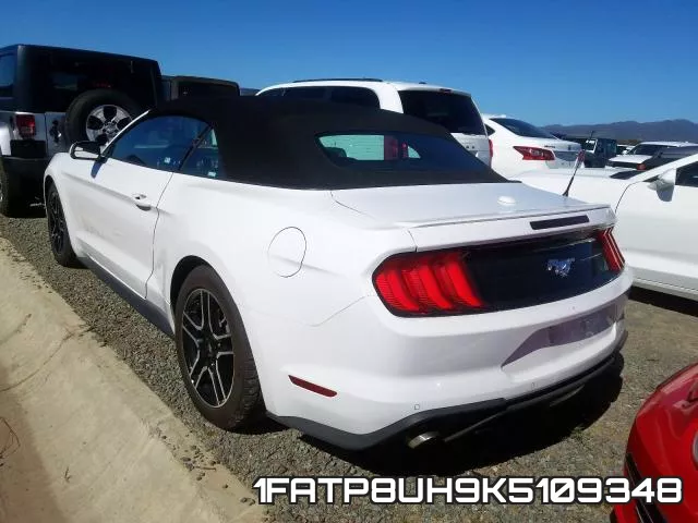 1FATP8UH9K5109348 фото 4