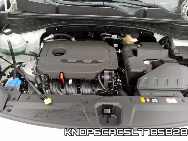 KNDP6CAC5L7785828 фото 8