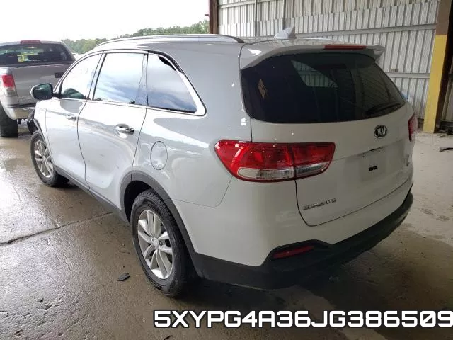 5XYPG4A36JG386509 фото 4