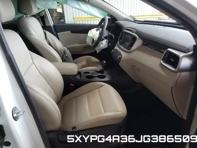 5XYPG4A36JG386509 фото 6