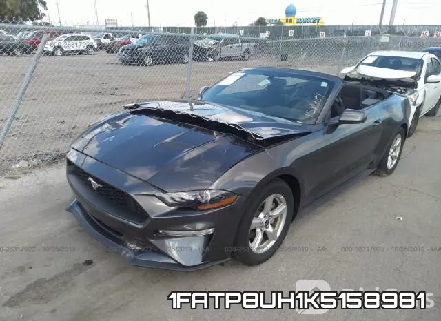 1FATP8UH1K5158981 фото 7