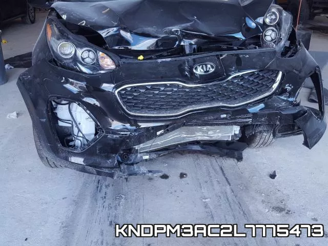 KNDPM3AC2L7775473 фото 10