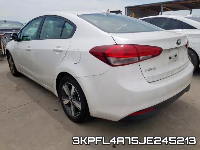 3KPFL4A75JE245213 фото 4