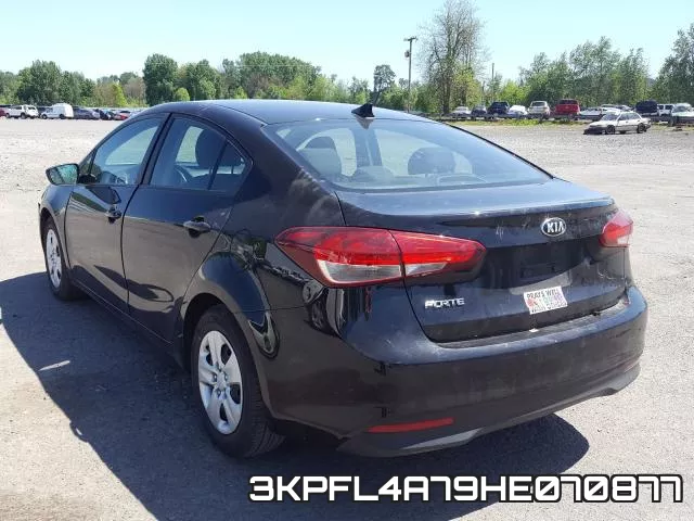 3KPFL4A79HE070877 фото 4