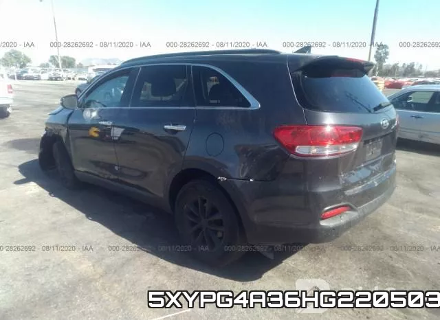 5XYPG4A36HG220503 фото 4