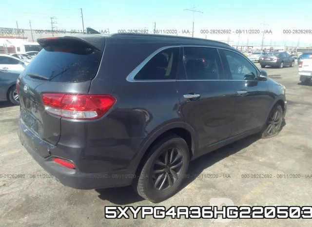 5XYPG4A36HG220503 фото 5