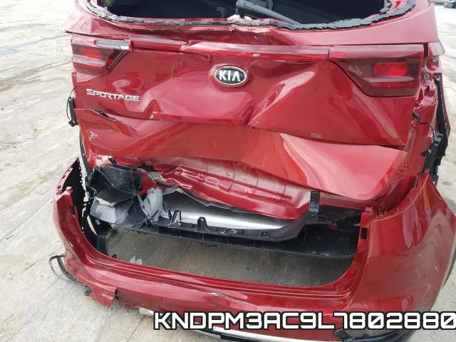 KNDPM3AC9L7802880 фото 10
