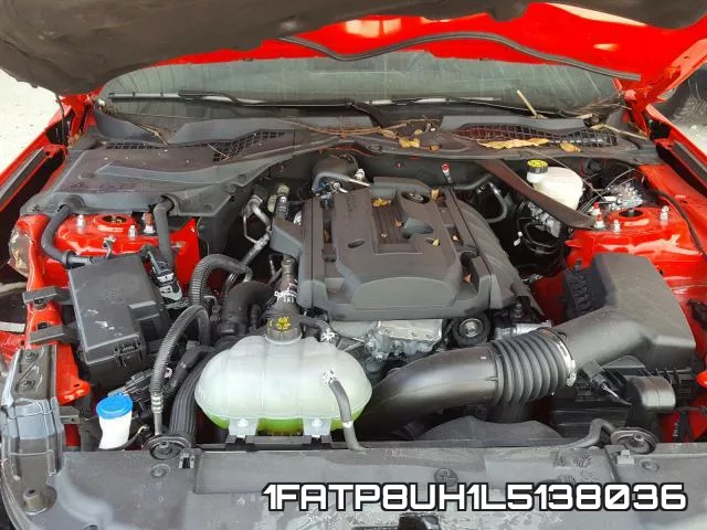 1FATP8UH1L5138036 фото 8