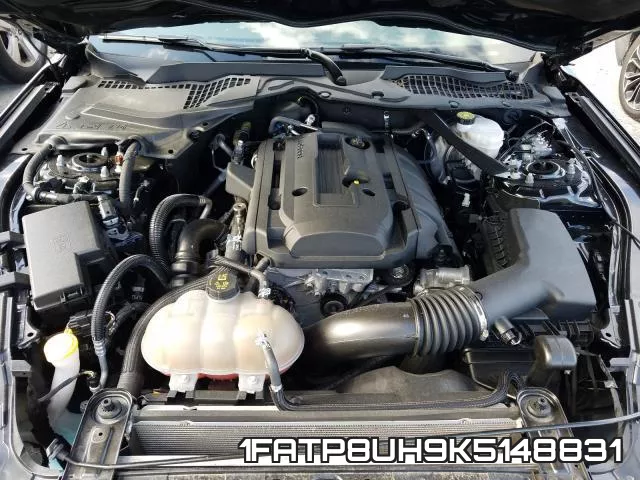 1FATP8UH9K5148831 фото 8