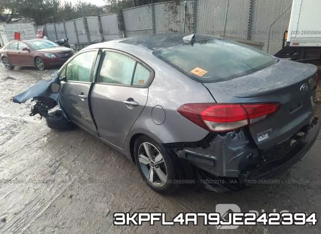 3KPFL4A79JE242394 фото 4