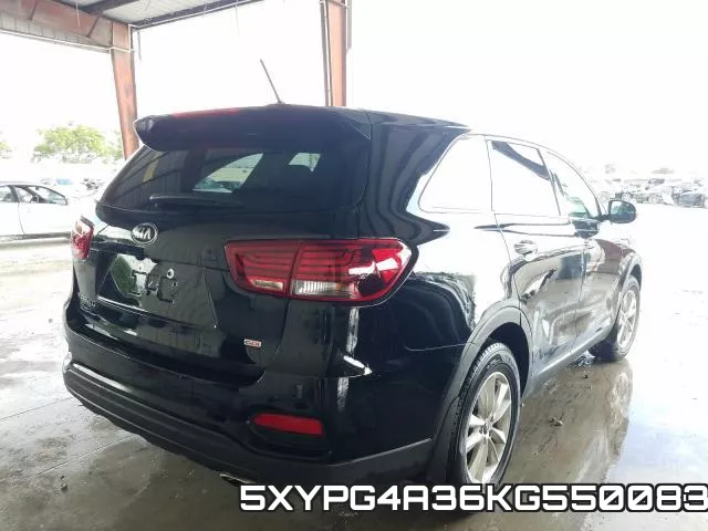 5XYPG4A36KG550083 фото 5