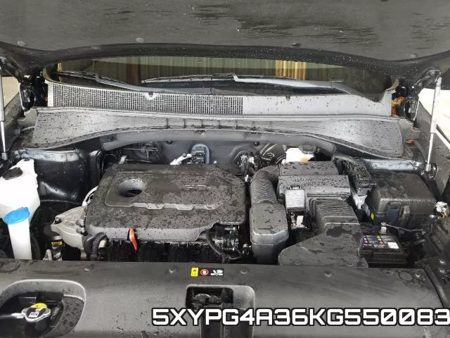 5XYPG4A36KG550083 фото 8