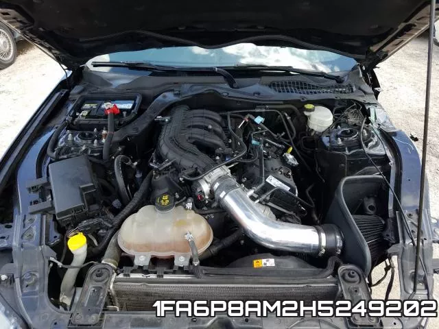 1FA6P8AM2H5249202 фото 8