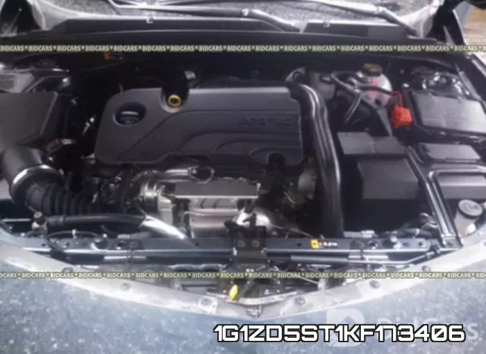 1G1ZD5ST1KF173406 фото 2