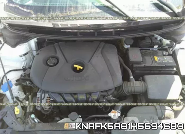 KNAFK5A81H5694683 фото 2