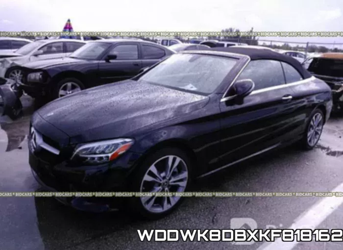 WDDWK8DBXKF818162 фото 3