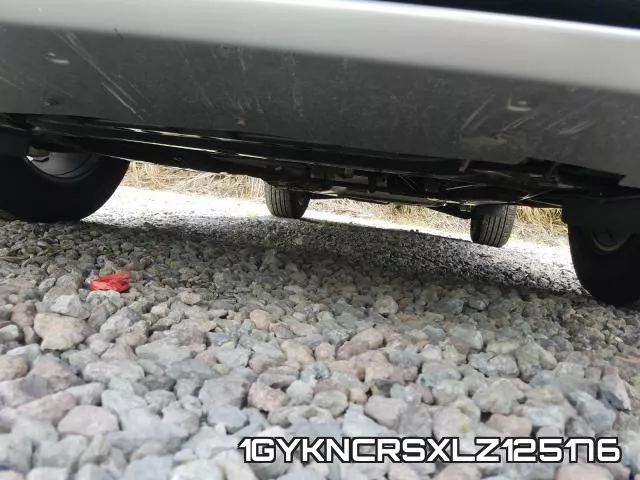 1GYKNCRSXLZ125176 фото 10