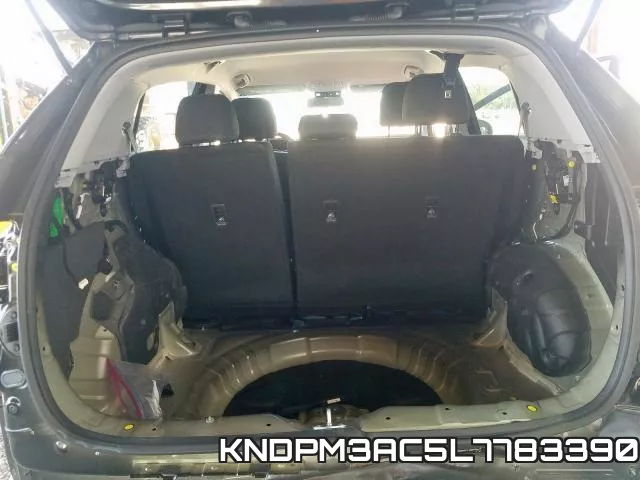 KNDPM3AC5L7783390 фото 10