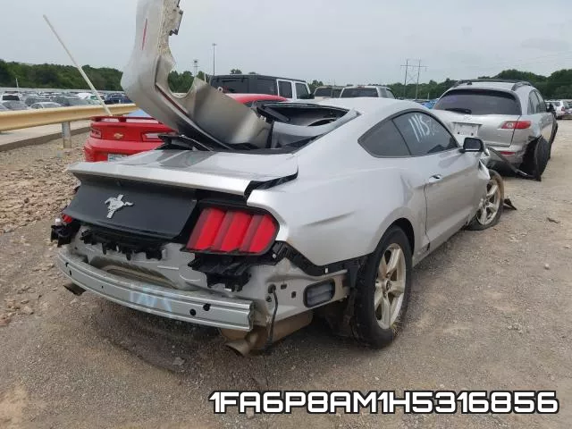1FA6P8AM1H5316856 фото 5