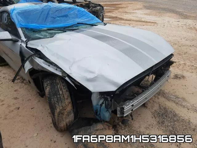 1FA6P8AM1H5316856 фото 10