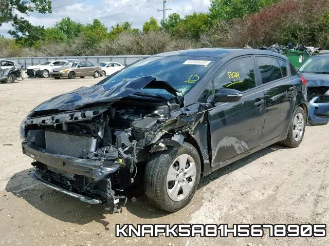 KNAFK5A81H5678905 фото 3