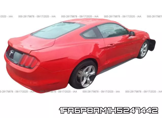 1FA6P8AM1H5247442 фото 5