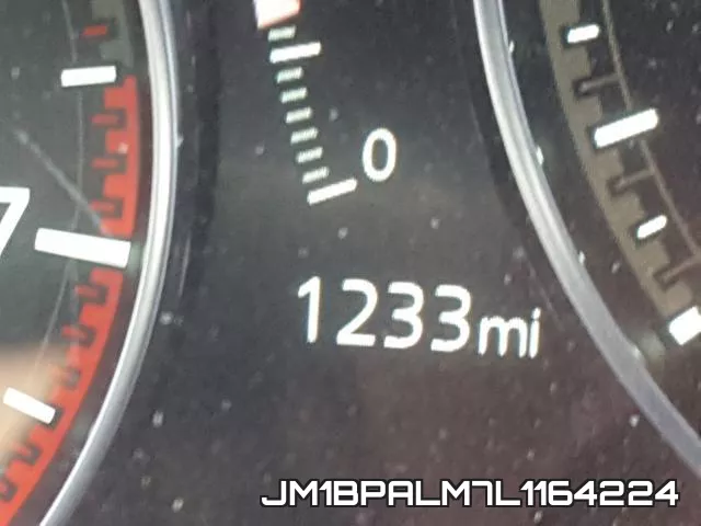 JM1BPALM7L1164224 фото 9