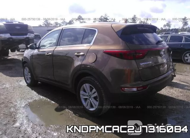 KNDPMCAC2J7316084 фото 4