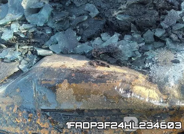 1FADP3F24HL234603 фото 10