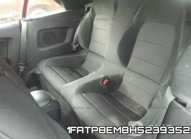 1FATP8EM8H5239352 фото 9