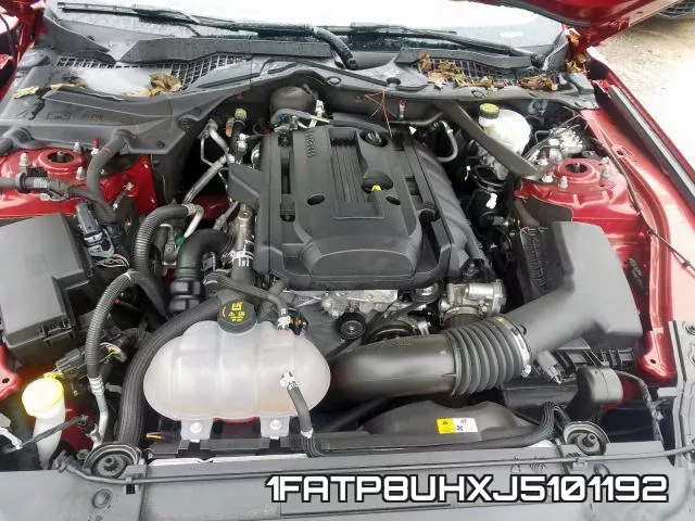 1FATP8UHXJ5101192 фото 8