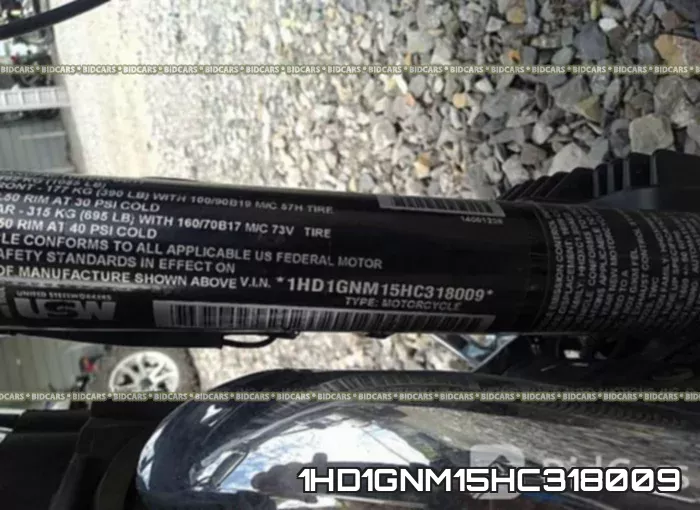 1HD1GNM15HC318009 фото 2