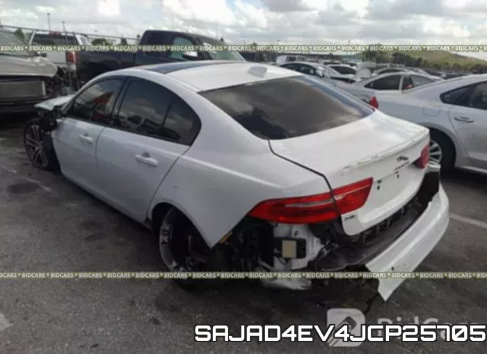 SAJAD4EV4JCP25705 фото 4
