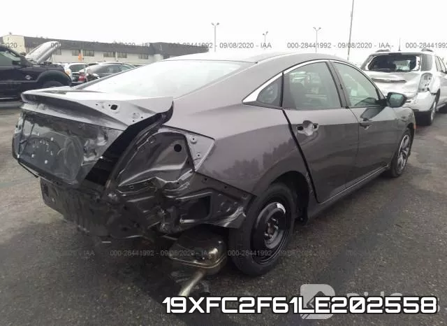 19XFC2F61LE202558 фото 5