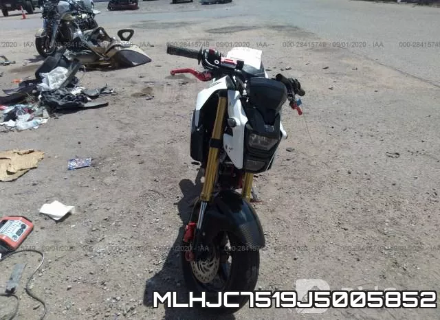 MLHJC7519J5005852 фото 6