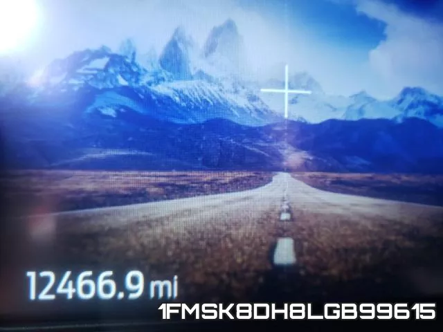 1FMSK8DH8LGB99615 фото 9