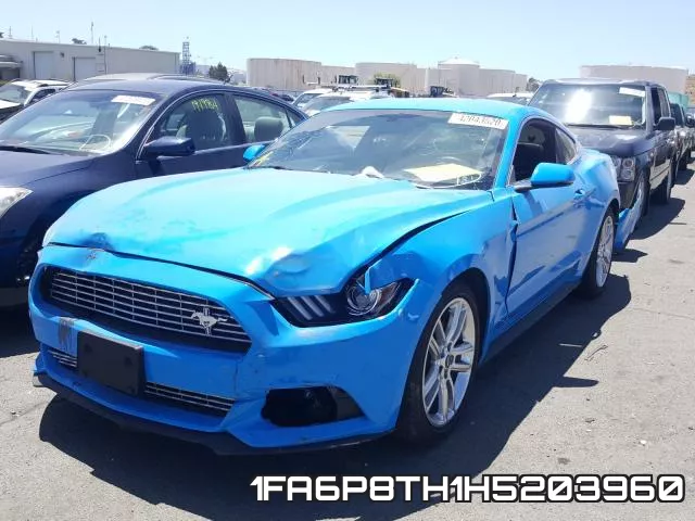 1FA6P8TH1H5203960 фото 3