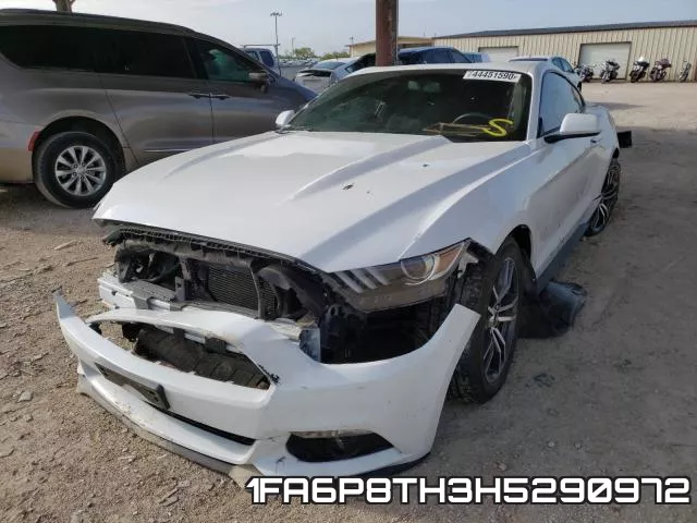 1FA6P8TH3H5290972 фото 3