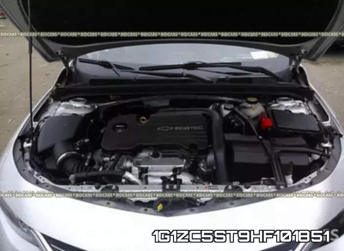 1G1ZC5ST9HF101851 фото 2