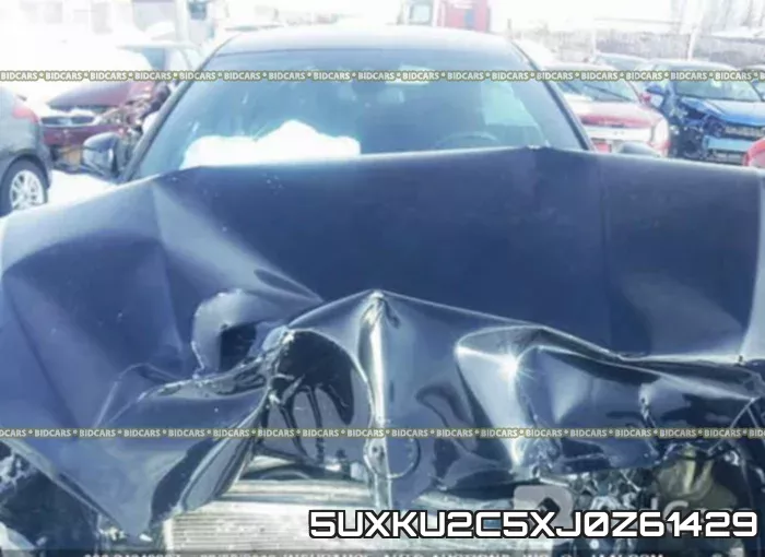 5UXKU2C5XJ0Z61429 фото 2
