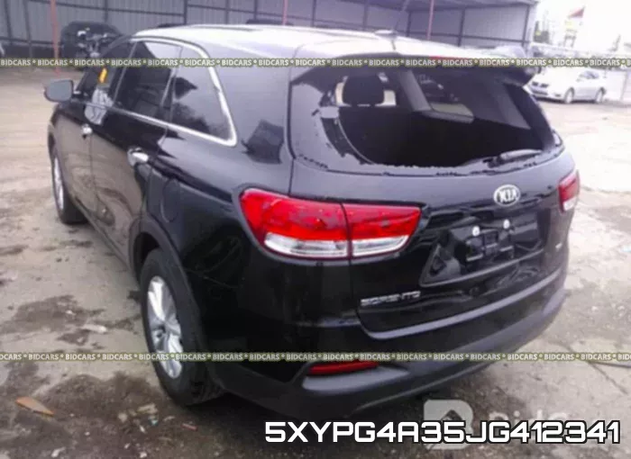 5XYPG4A35JG412341 фото 4