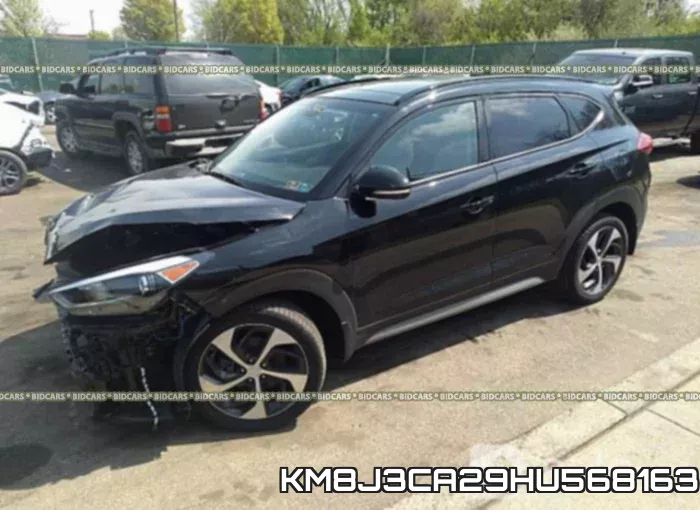 KM8J3CA29HU568163 фото 3
